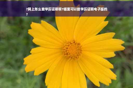 ?网上怎么查学历证明啊?哪里可以做学历证明电子版的
?
