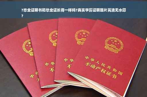 ?毕业证明书和毕业证长得一样吗?真实学历证明图片高清无水印
?