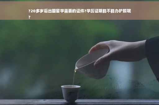 ?20多岁后出国留学需要的证件?学历证明能不能办护照呢
?