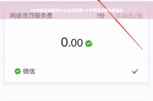 ?大学佐证证明是什么样的证明?大学学历证明书的图片
?