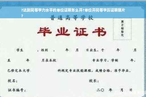 ?达到同等学力水平的单位证明怎么开?单位开同等学历证明图片
?