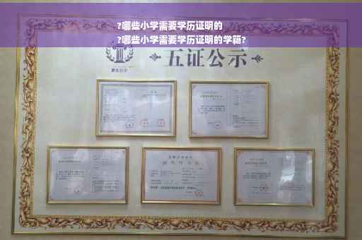 ?哪些小学需要学历证明的
?哪些小学需要学历证明的学籍?