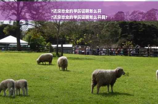 ?还没毕业的学历证明怎么开
?还没毕业的学历证明怎么开具?