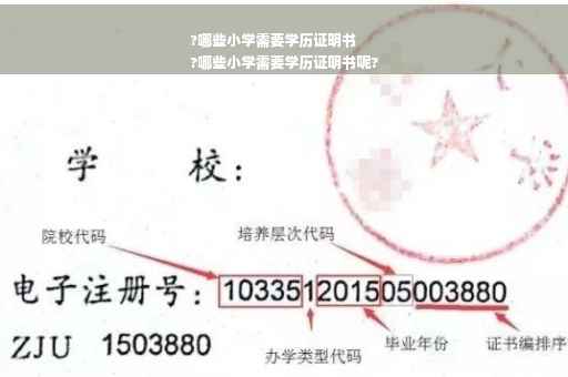 ?哪些小学需要学历证明书
?哪些小学需要学历证明书呢?