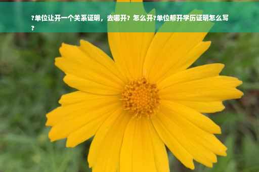 ?单位让开一个关系证明，去哪开？怎么开?单位帮开学历证明怎么写
?