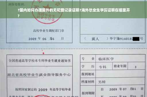 ?国内如何办理国外的无犯罪记录证明?海外毕业生学历证明在哪里开
?