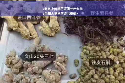 ?怎么上传学历证明兰州大学
?兰州大学学历证书查询?