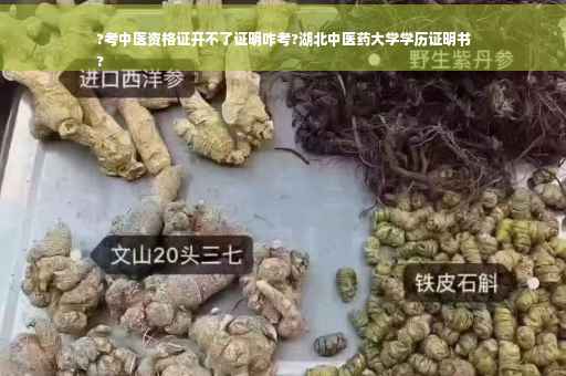 ?考中医资格证开不了证明咋考?湖北中医药大学学历证明书
?