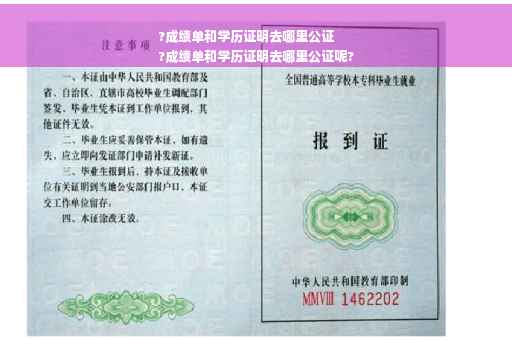 ?成绩单和学历证明去哪里公证
?成绩单和学历证明去哪里公证呢?