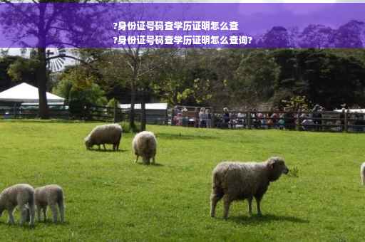 ?身份证号码查学历证明怎么查
?身份证号码查学历证明怎么查询?