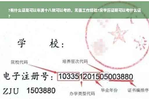 ?有什么证是可以年满十八就可以考的，无需工作经验?没学历证明可以考什么证
?