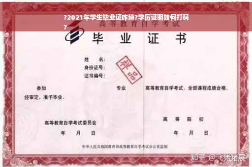 ?2021年学生毕业证咋填?学历证明如何打码
?