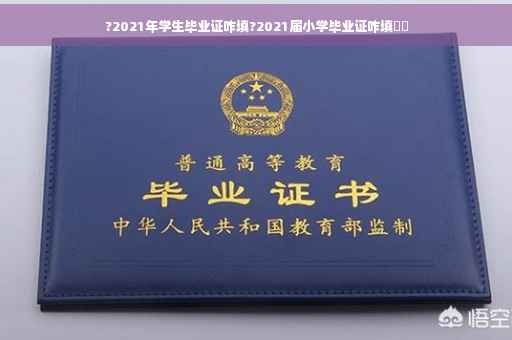 ?2021年学生毕业证咋填?2021届小学毕业证咋填⚡️