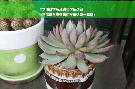 ?学信网学历证明和学历认证
?学信网学历证明和学历认证一样吗?