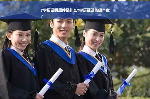 ?学历证明原件是什么?学历证明盖哪个章
?