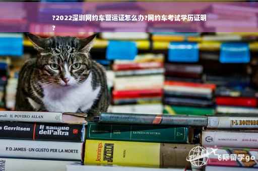 ?2022深圳网约车营运证怎么办?网约车考试学历证明
?
