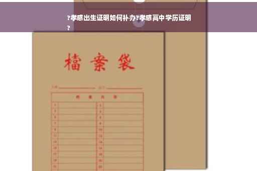 ?孝感出生证明如何补办?孝感高中学历证明
?