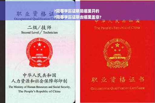 ?同等学历证明是哪里开的
?同等学历证明去哪里盖章?