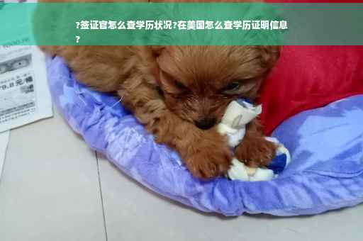 ?签证官怎么查学历状况?在美国怎么查学历证明信息
?