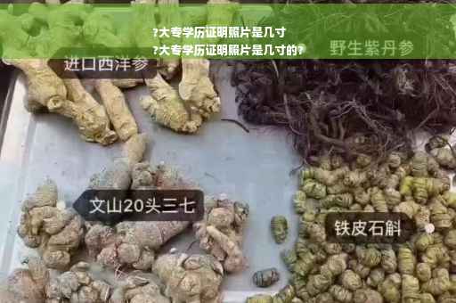 ?大专学历证明照片是几寸
?大专学历证明照片是几寸的?