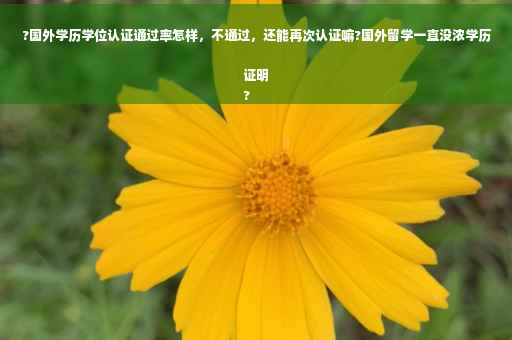 ?国外学历学位认证通过率怎样，不通过，还能再次认证嘛?国外留学一直没浓学历证明
?