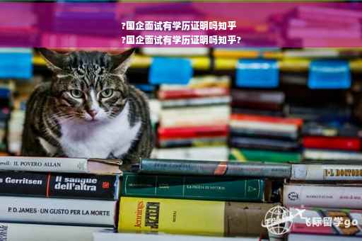?国企面试有学历证明吗知乎
?国企面试有学历证明吗知乎?