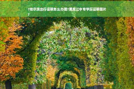 ?哈尔滨出行证明怎么办理?黑龙江中专学历证明图片
?