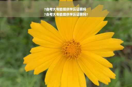 ?自考大专能提供学历证明吗
?自考大专能提供学历证明吗?