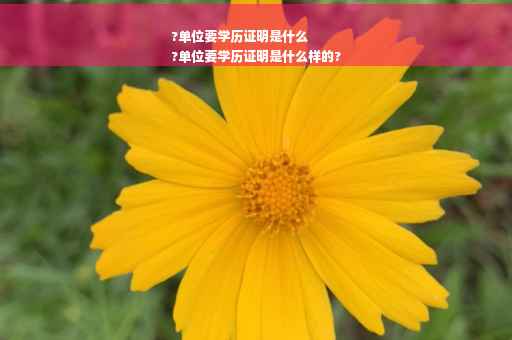 ?单位要学历证明是什么
?单位要学历证明是什么样的?