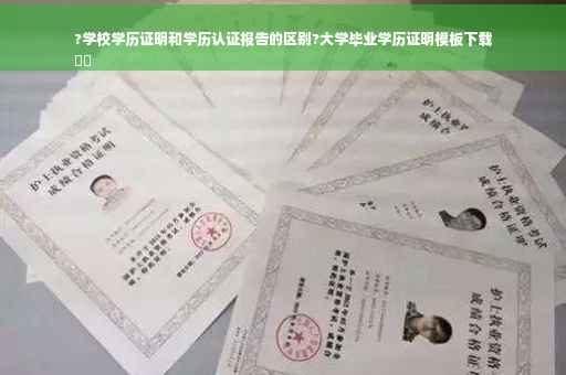 ?学校学历证明和学历认证报告的区别?大学毕业学历证明模板下载
⚡️