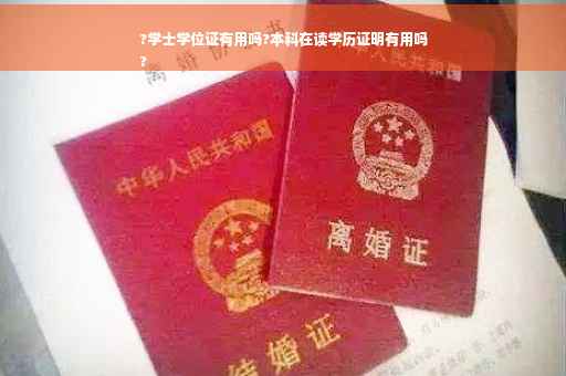 ?学士学位证有用吗?本科在读学历证明有用吗
?