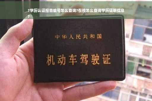 ?学历认证报告编号怎么查询?在校怎么查询学历证明信息
?