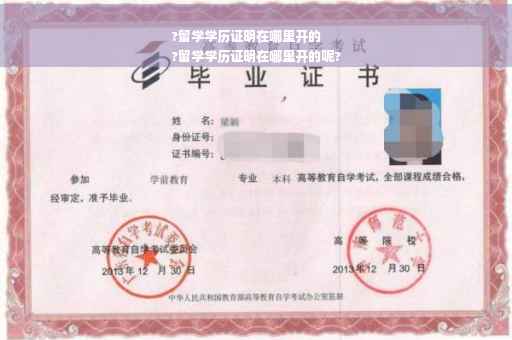 ?留学学历证明在哪里开的
?留学学历证明在哪里开的呢?