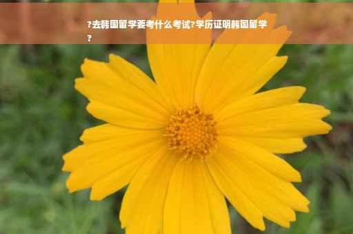 ?去韩国留学要考什么考试?学历证明韩国留学
?