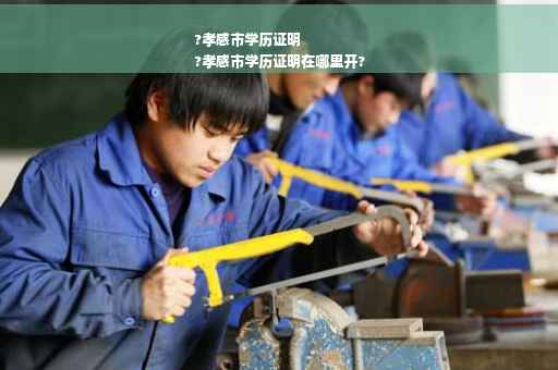 ?孝感市学历证明
?孝感市学历证明在哪里开?