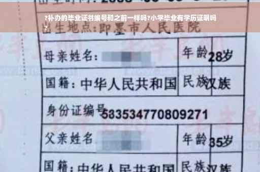 ?补办的毕业证书编号和之前一样吗?小学毕业有学历证明吗
?