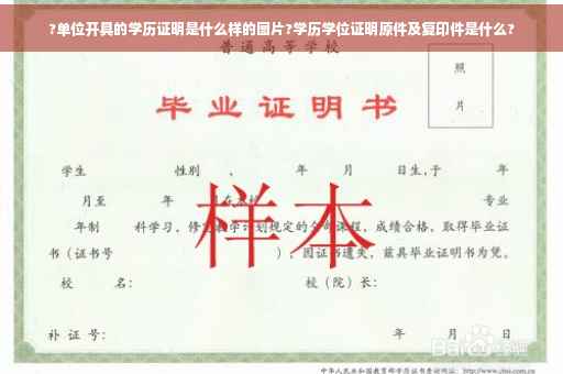 ?单位开具的学历证明是什么样的图片?学历学位证明原件及复印件是什么?
