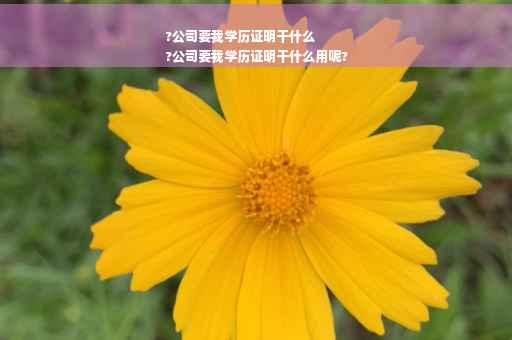 ?公司要我学历证明干什么
?公司要我学历证明干什么用呢?