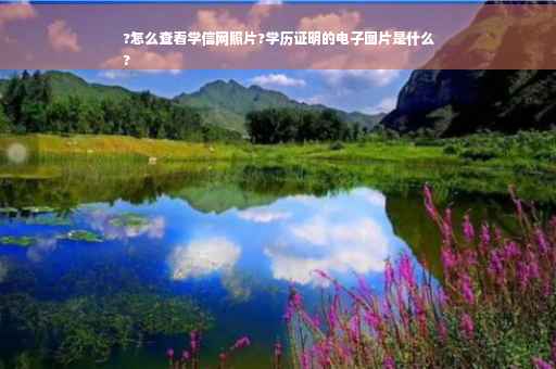 ?怎么查看学信网照片?学历证明的电子图片是什么
?
