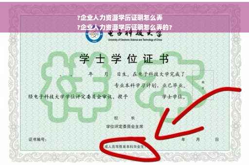 ?企业人力资源学历证明怎么弄
?企业人力资源学历证明怎么弄的?
