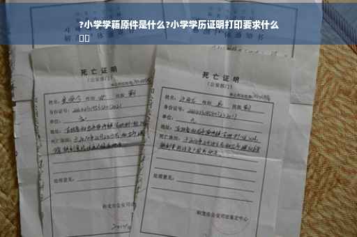 ?小学学籍原件是什么?小学学历证明打印要求什么
⚡️