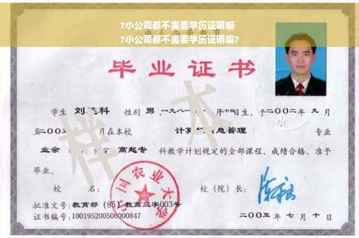 ?小公司都不需要学历证明嘛
?小公司都不需要学历证明嘛?