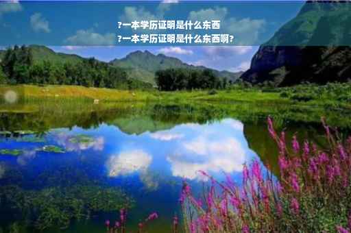 ?一本学历证明是什么东西
?一本学历证明是什么东西啊?