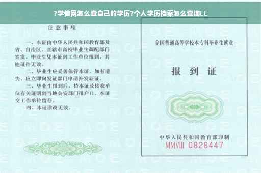 ?学信网怎么查自己的学历?个人学历档案怎么查询⚡️
