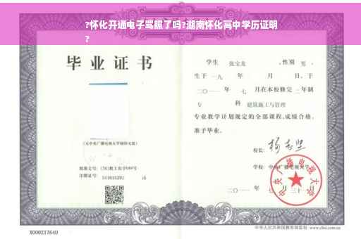 ?怀化开通电子驾照了吗?湖南怀化高中学历证明
?