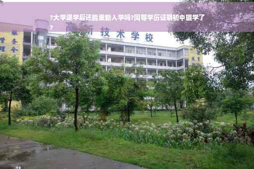 ?大学退学后还能重新入学吗?同等学历证明初中辍学了
?
