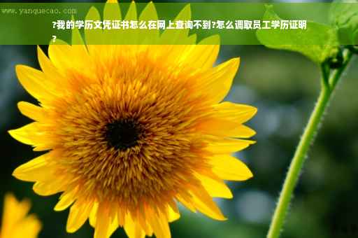 ?我的学历文凭证书怎么在网上查询不到?怎么调取员工学历证明
?