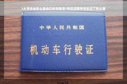 ?大学毕业怎么查自己的学籍号?学历证明学号忘记了怎么查
?