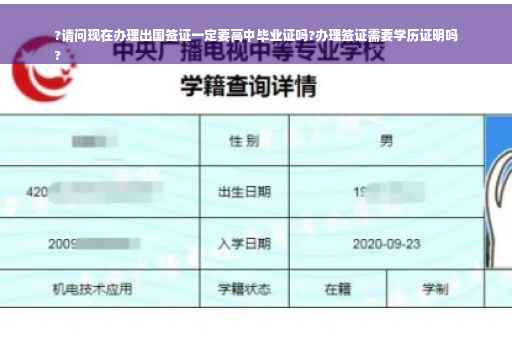 ?请问现在办理出国签证一定要高中毕业证吗?办理签证需要学历证明吗
?