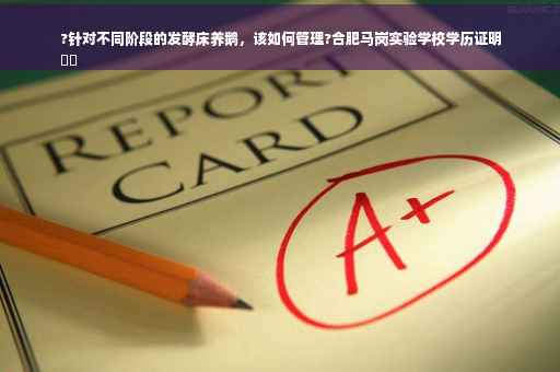 ?针对不同阶段的发酵床养鹅，该如何管理?合肥马岗实验学校学历证明
⚡️